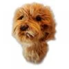 Daphnes Doodle Dog Driver Headcover -Hot Sale Golf Store bfdadoo